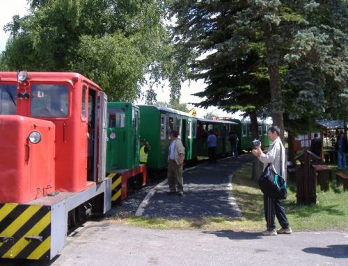 Forest narrow-gauge railway